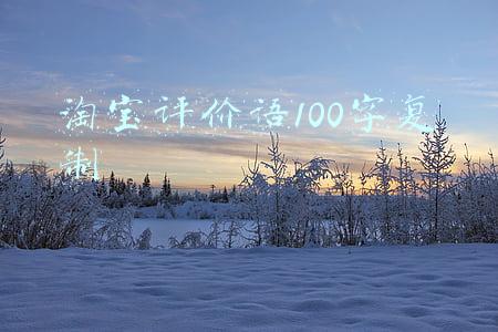 淘宝评价语100字复制