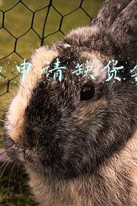 拼多多申请缺货会怎么样