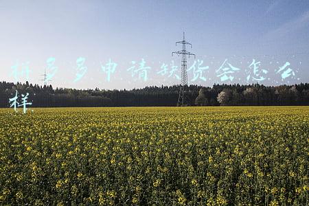 拼多多申请缺货会怎么样