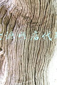 货源网店代理