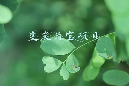 变废为宝项目