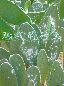 赚钱的行业排行(未来20年最赚钱的十二大行业)