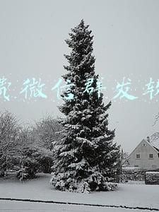 免费微信群发软件