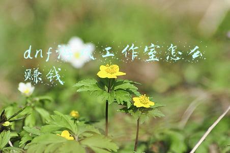 dnf游戏工作室怎么赚钱 dnf游戏工作室怎么赚钱