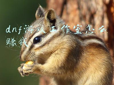 dnf游戏工作室怎么赚钱