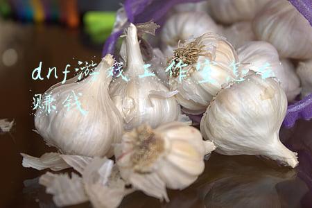 dnf游戏工作室怎么赚钱