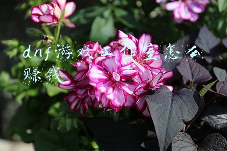 dnf游戏工作室怎么赚钱
