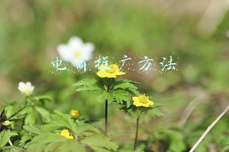 电商产品推广(打败电商系列之五：电商产品的推广方法)