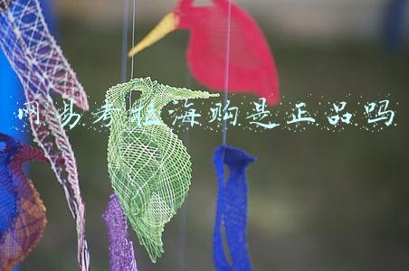 网易考拉海购是正品吗