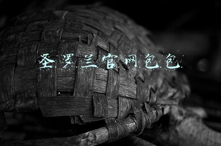 圣罗兰官网包包