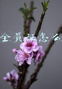 安全员证怎么考