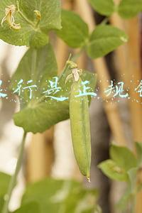 网商银行是正规银行吗