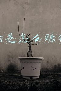代购是怎么赚钱的 代购是怎么赚钱的