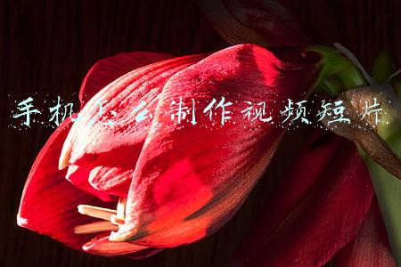 手机怎么制作视频短片 手机怎么制作视频短片