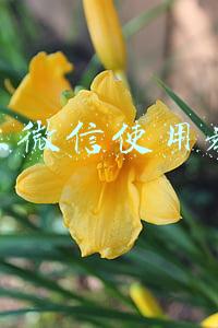 企业微信使用教程 企业微信使用教程