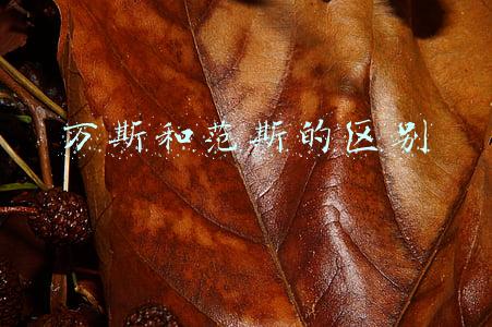 万斯和范斯的区别 万斯和范斯的区别