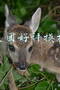 美团好评模板100字通用(美团外卖店铺评分评价规则是什么？如何获得优质评价？)