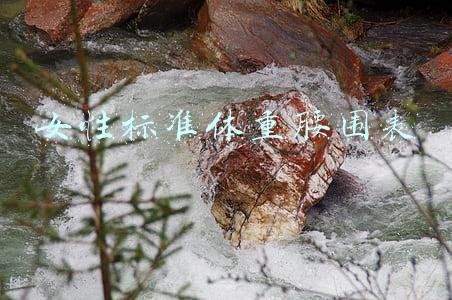 女性标准体重腰围表