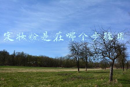 定妆粉是在哪个步骤用