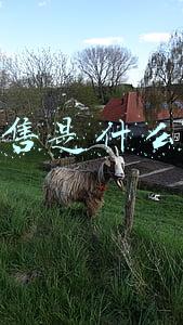 新零售商业模式(新零售商业模式，到底是什么？)
