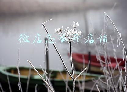 微店怎么开店铺