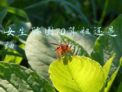 女生腰围70算粗还是细
