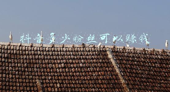 抖音多少粉丝可以赚钱