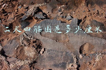 二尺四腰围是多少厘米