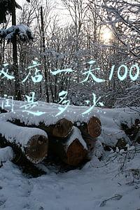 开饭店一天1000元利润是多少