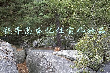 新手该怎么推销化妆品(月薪从600元到3.5万，我对销售新手的几点建议)