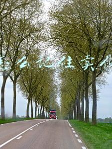 新手怎么记住卖化妆品