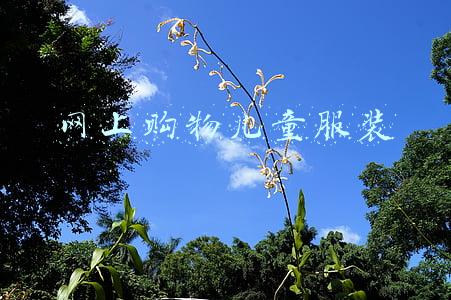 网上购物儿童服装