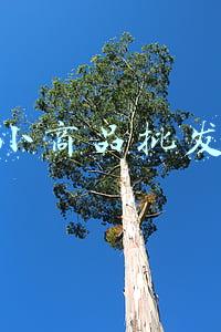 白沟小商品批发市场