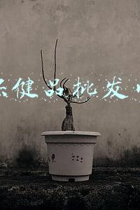 保健品批发网