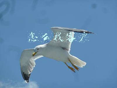 怎么找客户