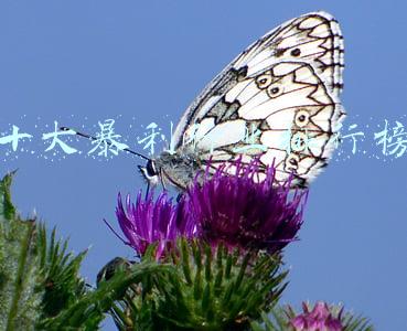 十大暴利行业排行榜
