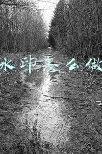水印怎么做