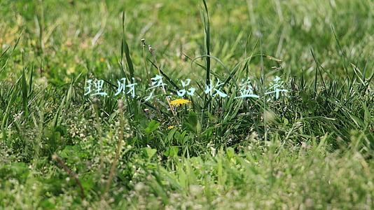 理财产品收益率
