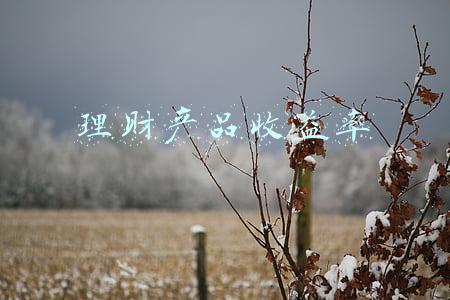 理财产品收益率