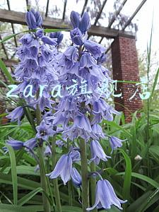 zara旗舰店
