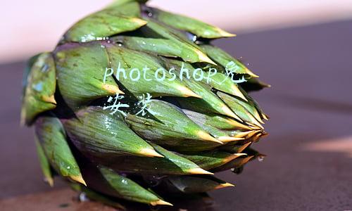 photoshop免安装