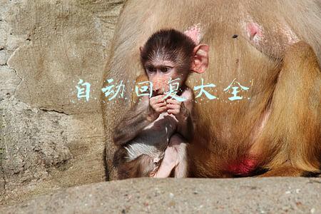 自动回复大全