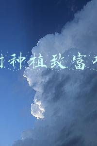 农村种植致富项目