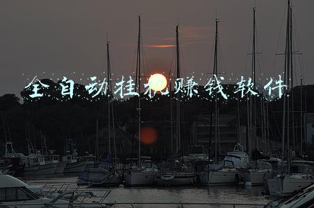 全自动挂机赚钱软件