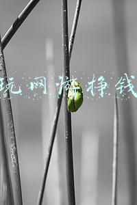 玩网游挣钱