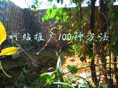 网站推广100种方法