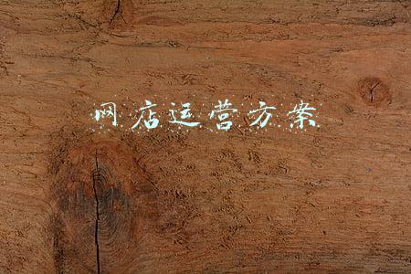 网店运营方案