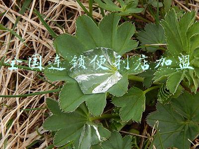全国连锁便利店加盟