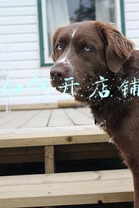 如何开店铺