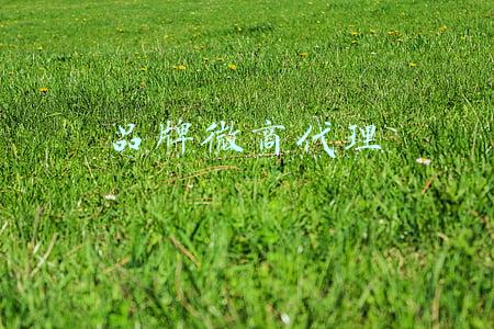 品牌微商代理